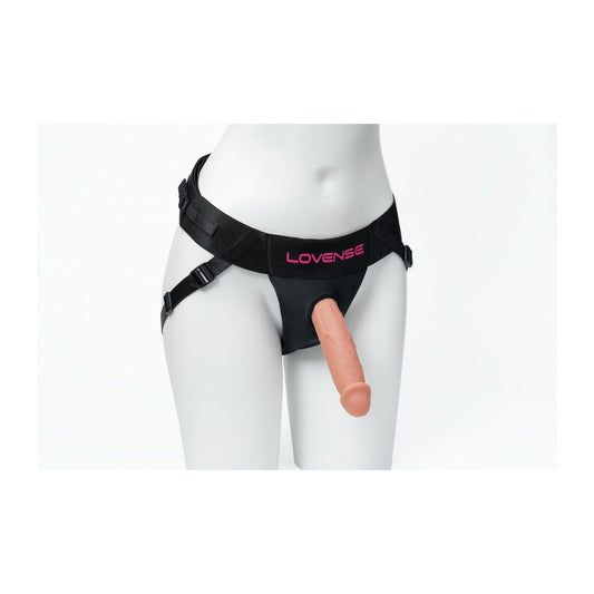 V4HAE1E0A5FAB381BFB8583822E2F93B6B6R5286145P2