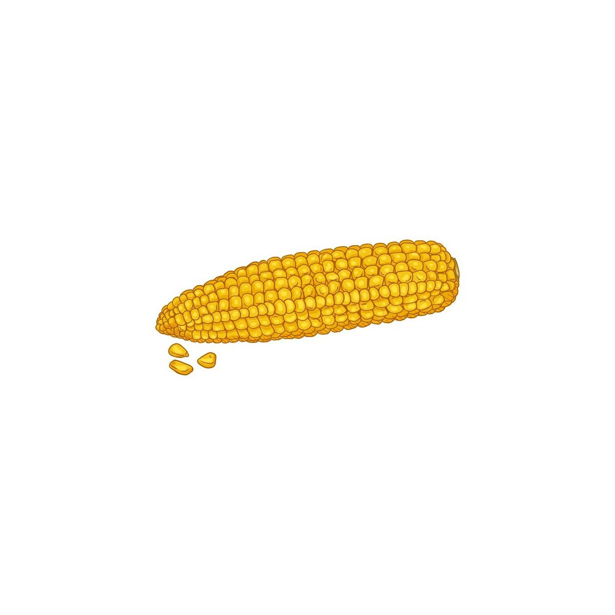 V4HC443E1AF4F9D0A0F084EEA08F6657AFFR5155309P1